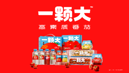 一顆大櫻桃番茄的東南亞之旅 中國(guó)蔬菜“出?！卑鎴D再拓展